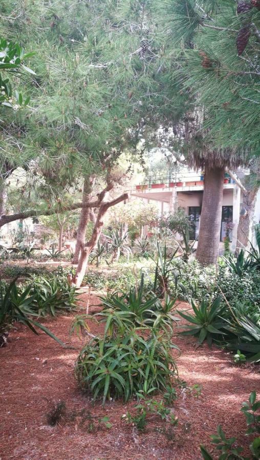 法维尼亚纳Il Giardino Su Lido Burrone公寓 外观 照片