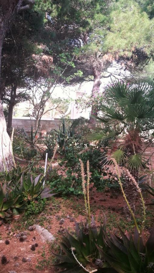 法维尼亚纳Il Giardino Su Lido Burrone公寓 外观 照片