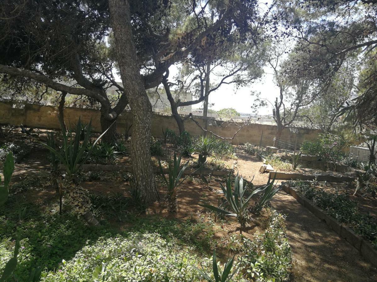 法维尼亚纳Il Giardino Su Lido Burrone公寓 外观 照片